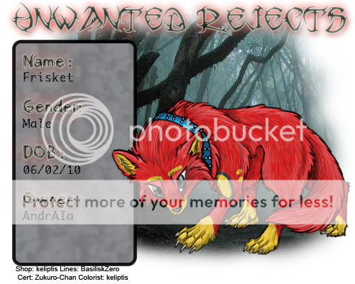 User Image